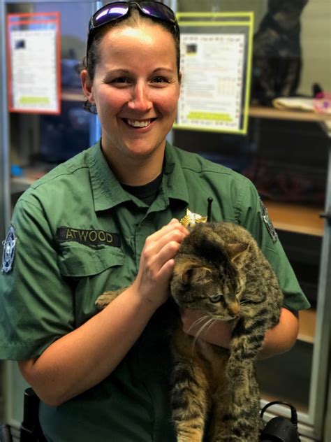Newton county animal control - Catawba County Animal Control located at 201 Government Services Dr, Newton, NC 28658 - reviews, ratings, hours, phone number, directions, and more.